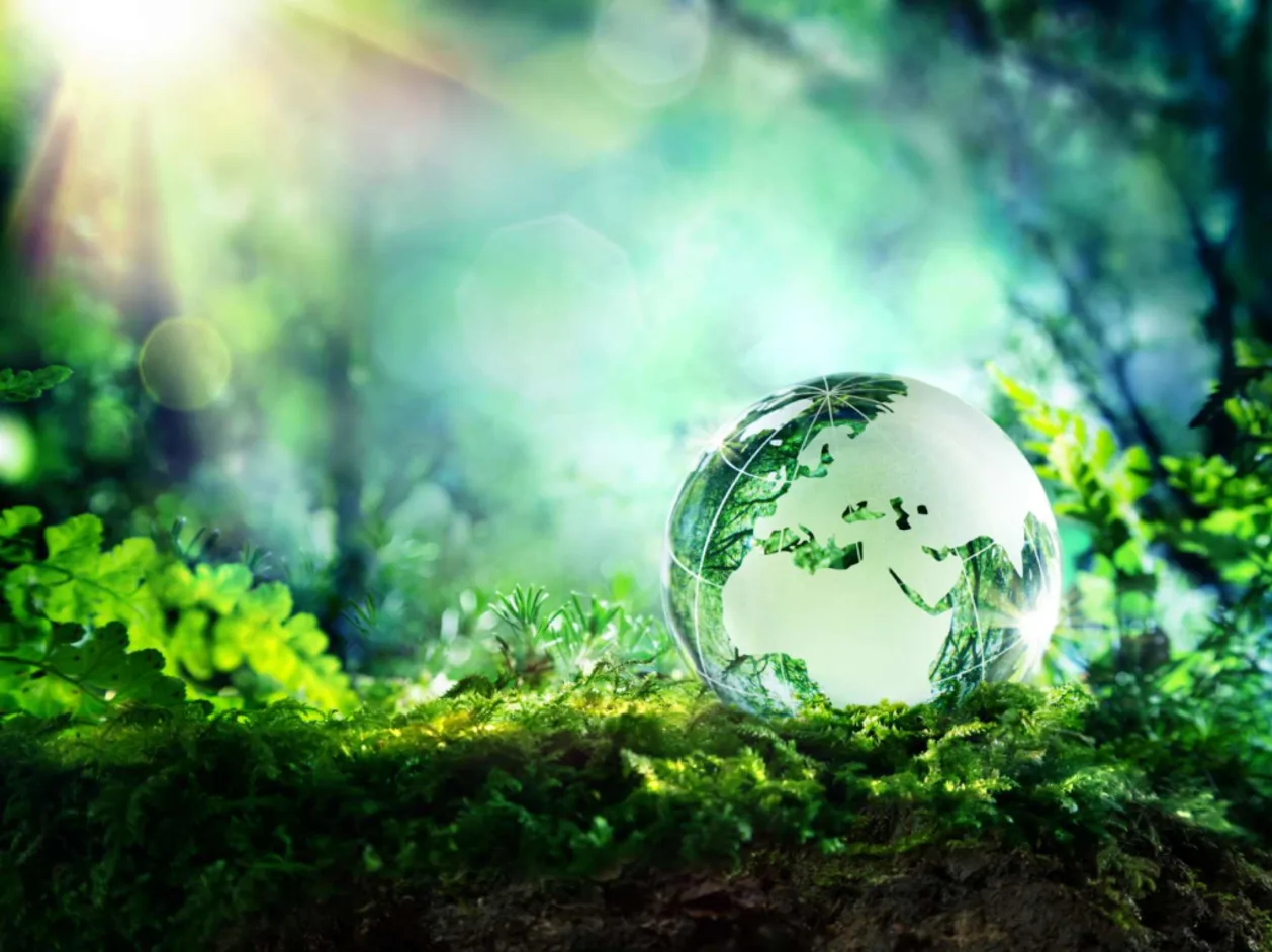 greenwashing crystal globe resting on moss in a forest